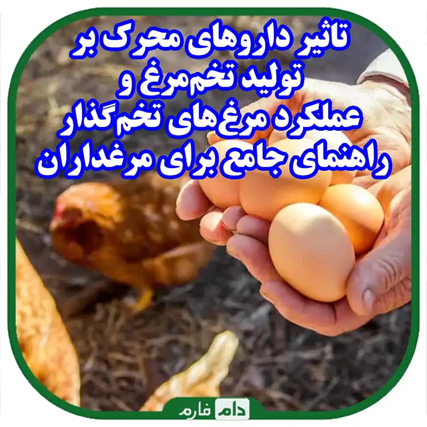 تاثیر_داروهای_محرک_بر_تولید_تخم‌مرغ_و_عملکرد_مرغ‌های_تخم‌گذار