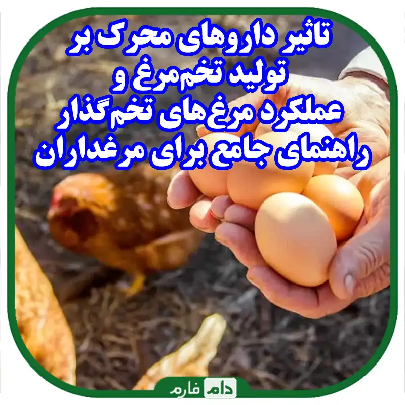 تاثیر_داروهای_محرک_بر_تولید_تخم‌مرغ_و_عملکرد_مرغ‌های_تخم‌گذار