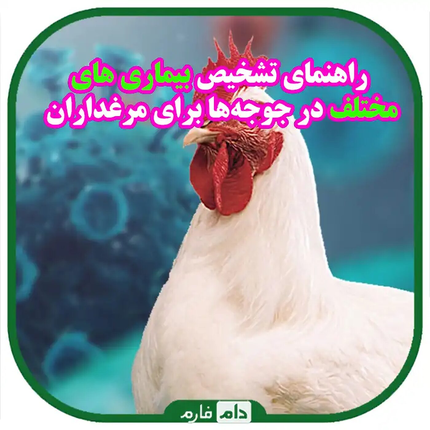 راهنمای_جامع_تشخیص_و_مدیریت_بیماری_طیور