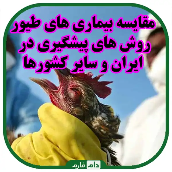 A-comprehensive-guide-to-the-diagnosis-and-management-of-poultry-diseases