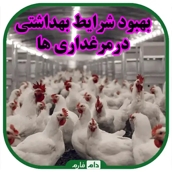 A-comprehensive-guide-to-the-diagnosis-and-management-of-poultry-diseases