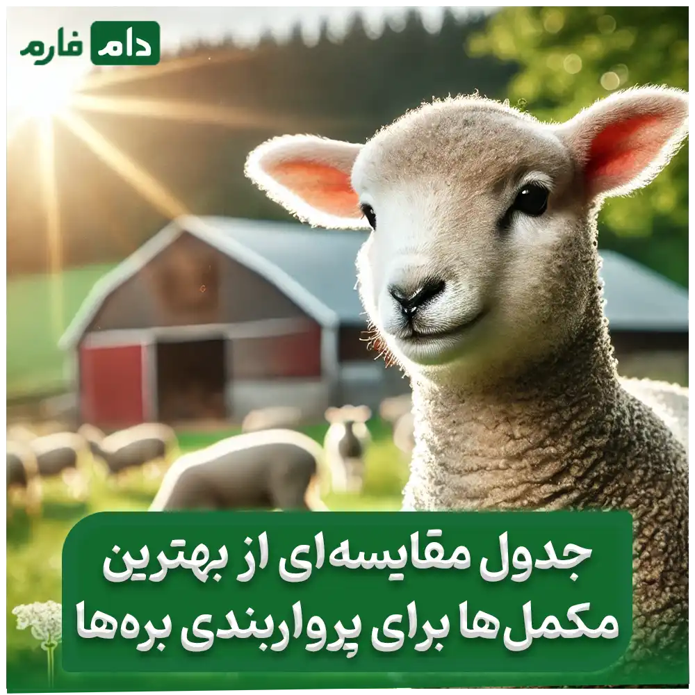 The-best-supplement-for-growing-lambs-:-a-simple-guide-to-growing-lambs-faster