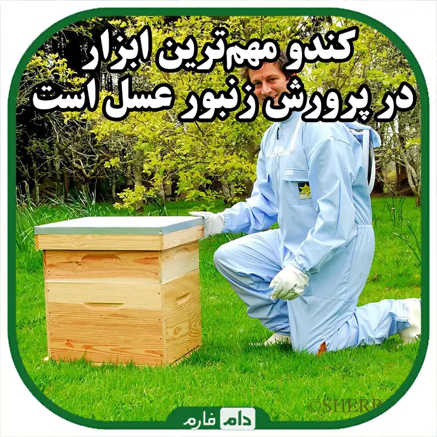 تجهیزات_پرورش_زنبور_عسل_:_راهنمای_کامل_برای_زنبورداران