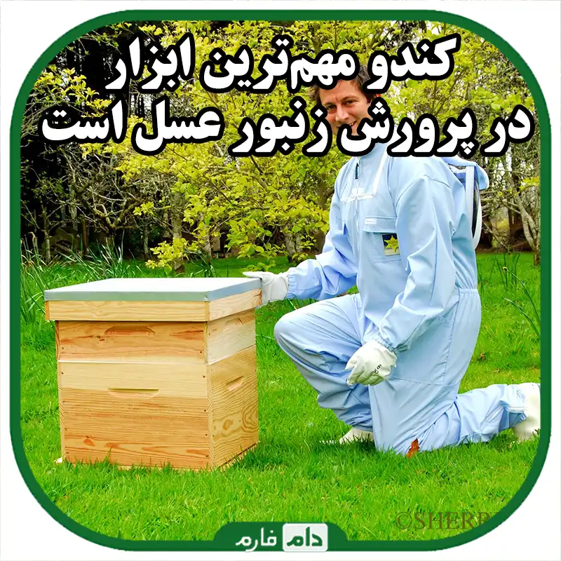 تجهیزات_پرورش_زنبور_عسل_:_راهنمای_کامل_برای_زنبورداران