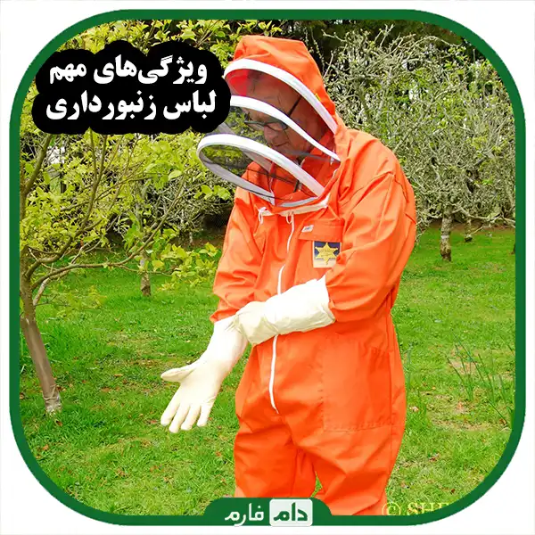 Beekeeping-equipment-a-complete-guide-for-beekeepers