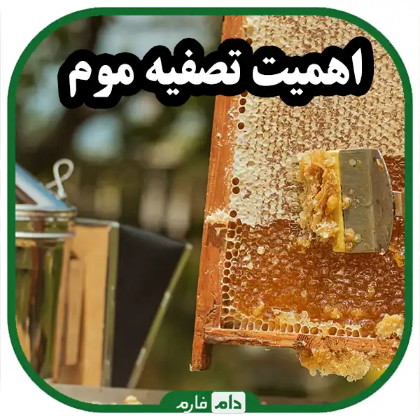 Beekeeping-equipment-a-complete-guide-for-beekeepers