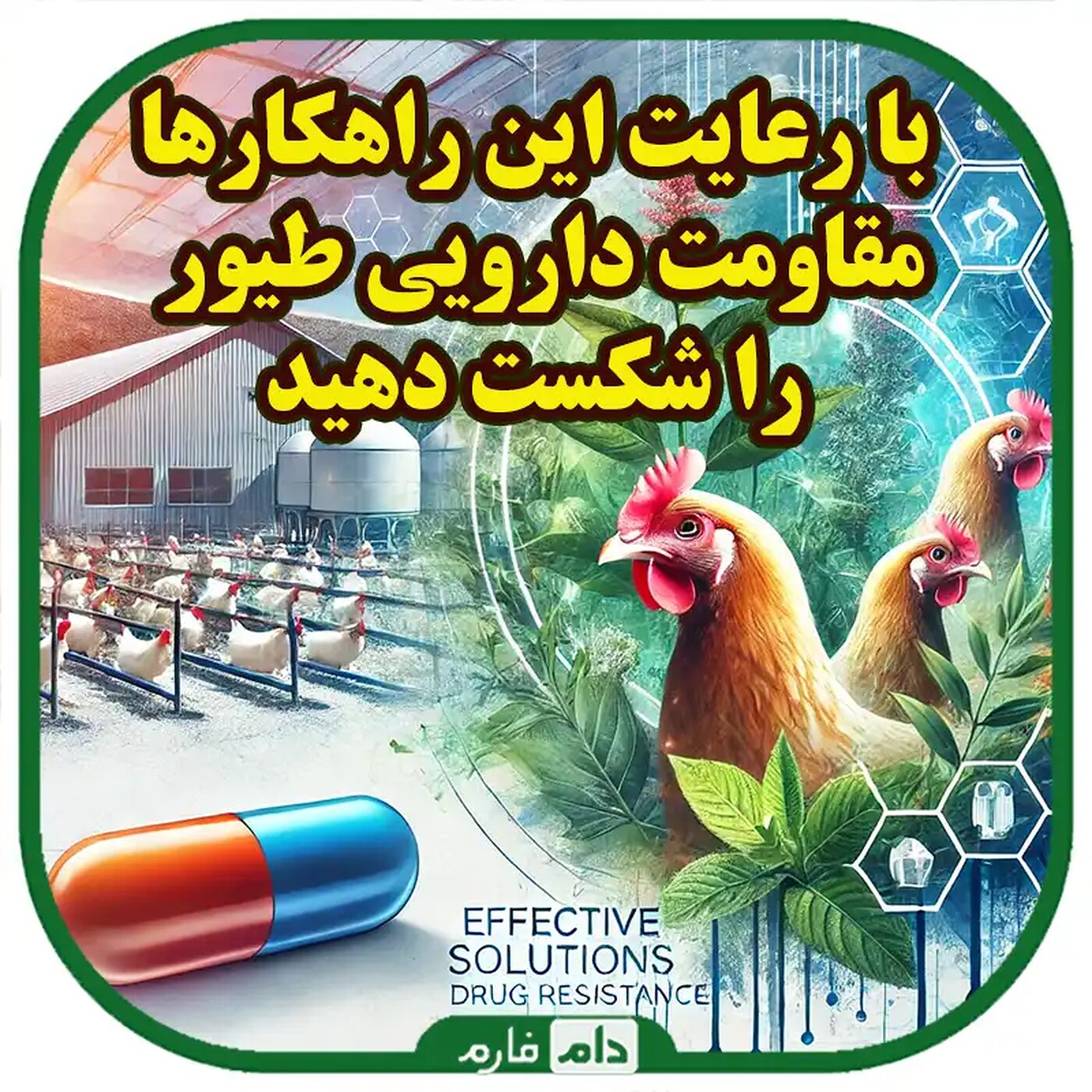 راهکارهای_کاهش_مقاومت_دارویی_در_طیور