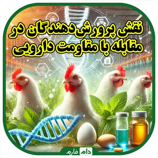 Strategies-to-reduce-drug-resistance-in-poultry