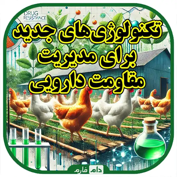 Strategies-to-reduce-drug-resistance-in-poultry
