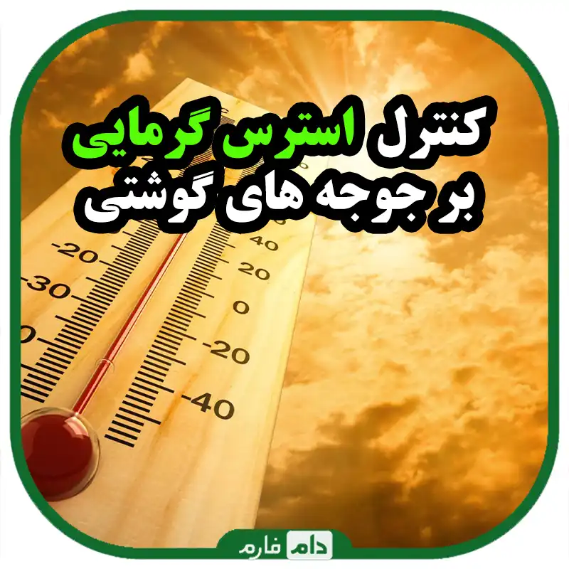 کنترل_استرس_گرمایى_در_طیور