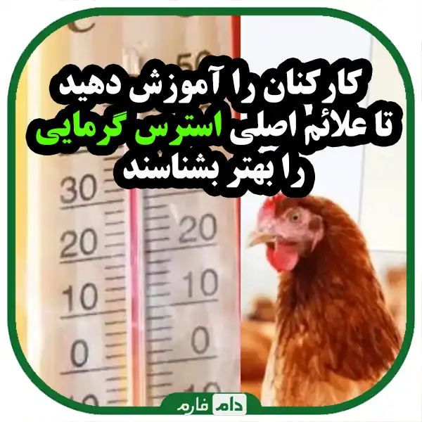 Poultry-and-heat-stress-control