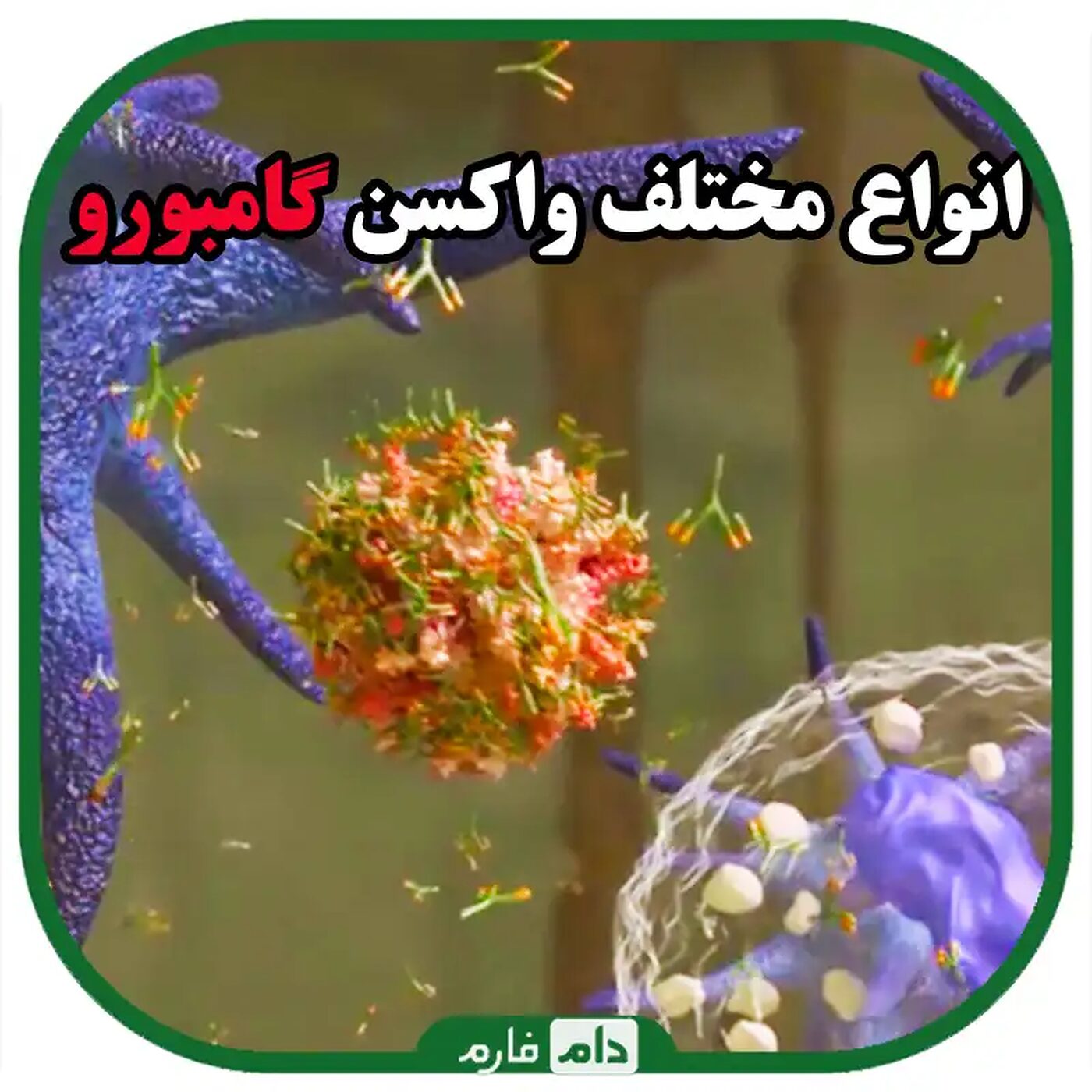 انواع_واکسن_گامبورو