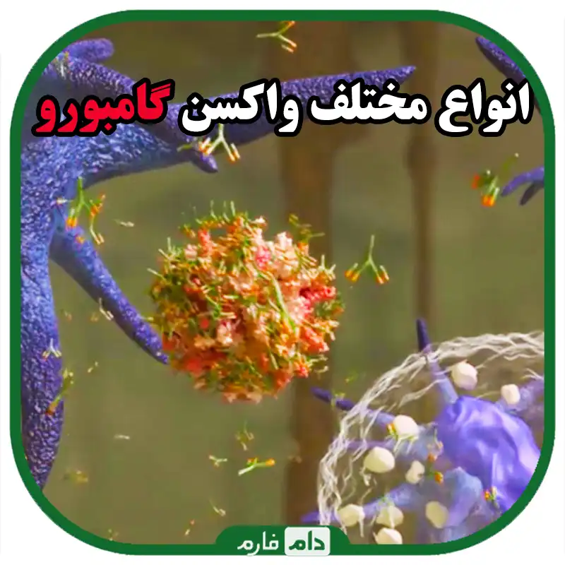 انواع_واکسن_گامبورو