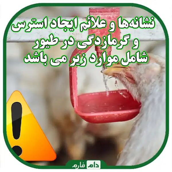 Damage-caused-by-temperature-changes-in-chicken-farms