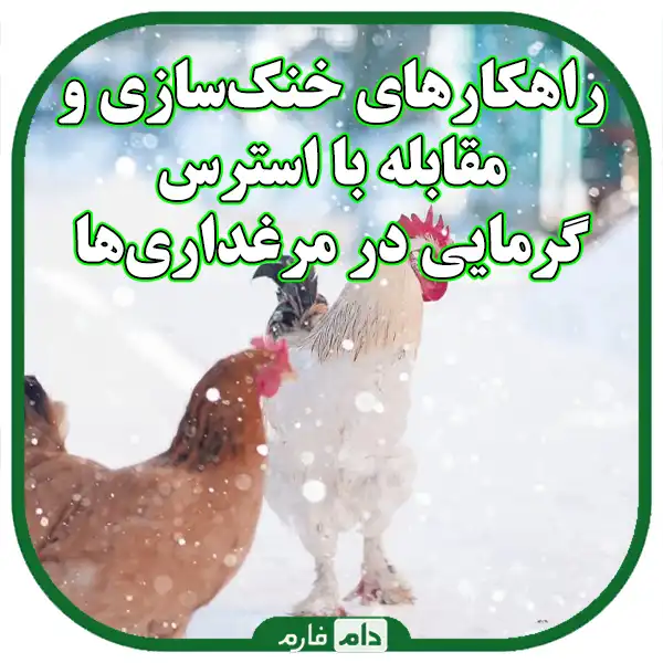 Damage-caused-by-temperature-changes-in-chicken-farms