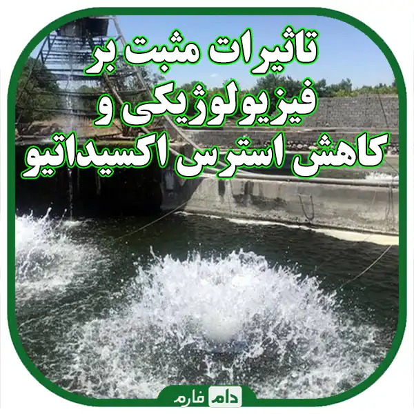 Strategies-for-improving-the-quality-of-magnetic-water-in-poultry-farms