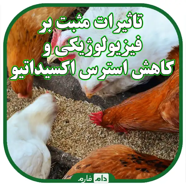 Strategies-for-improving-the-quality-of-magnetic-water-in-poultry-farms