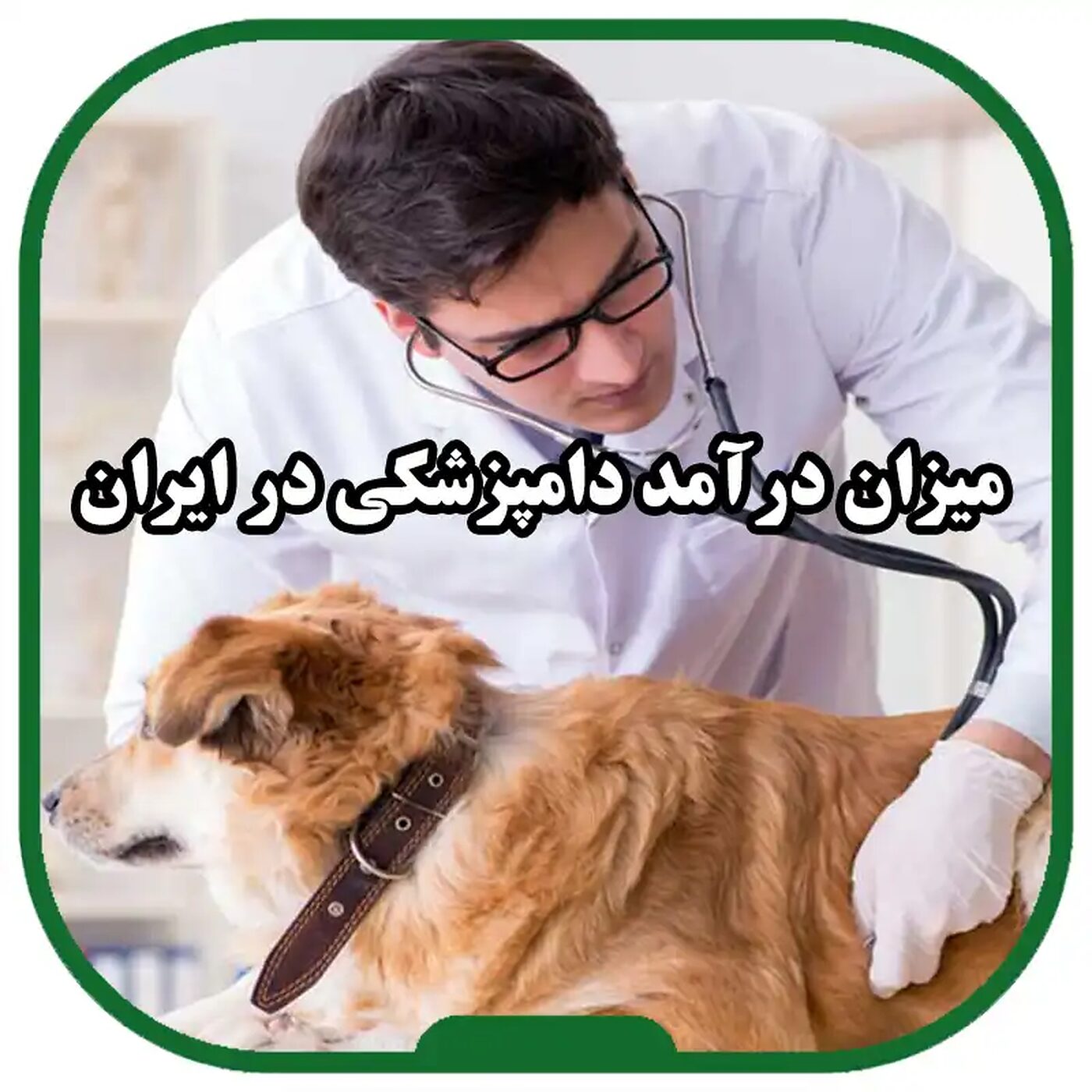درآمد_دامپزشکی_چگونه_تعیین_می_شود؟_|_راهکارهای_افزایش_درآمد_دامپزشکان