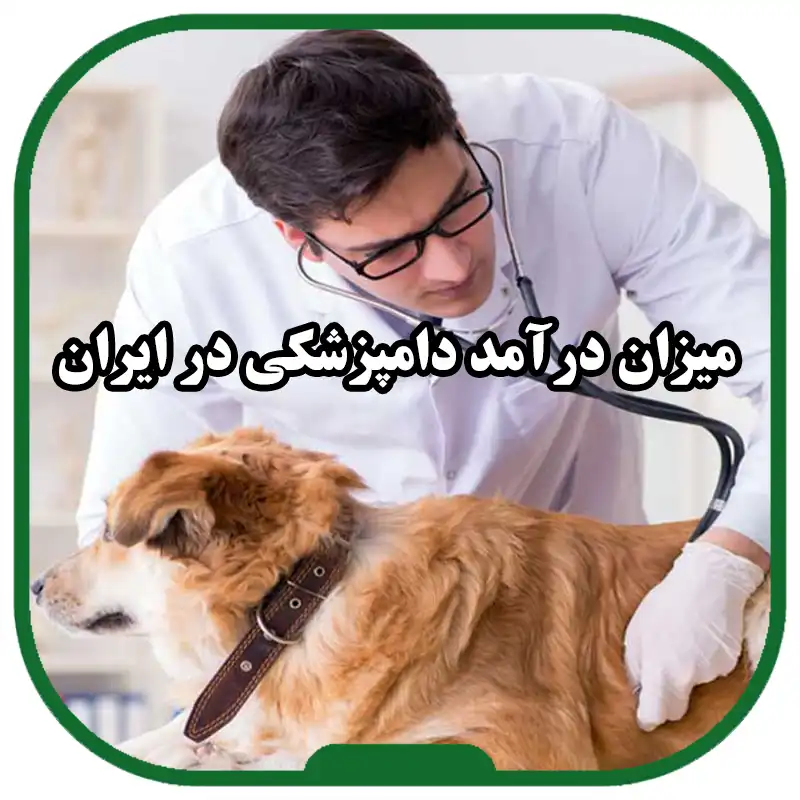 درآمد_دامپزشکی_چگونه_تعیین_می_شود
