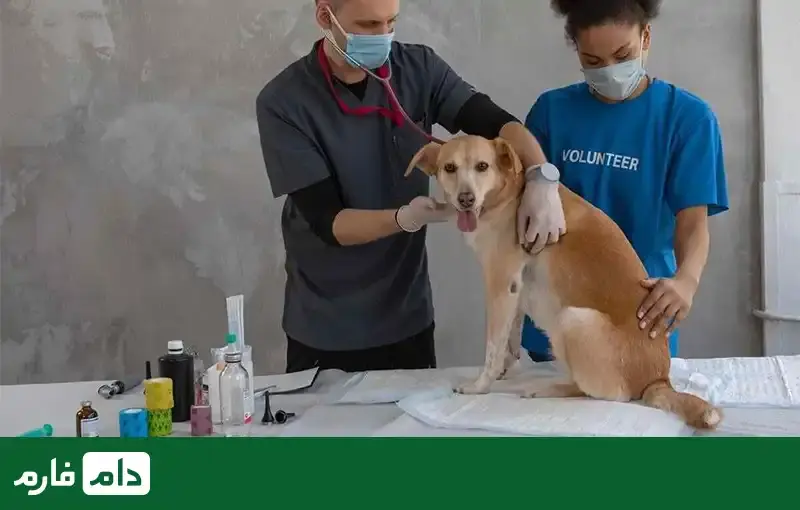 How-is-veterinary-income-determined