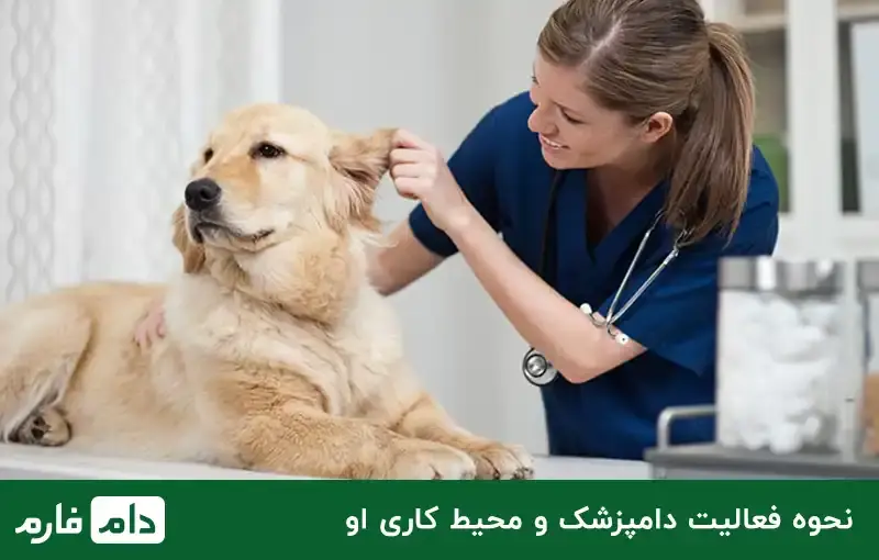 How-is-veterinary-income-determined