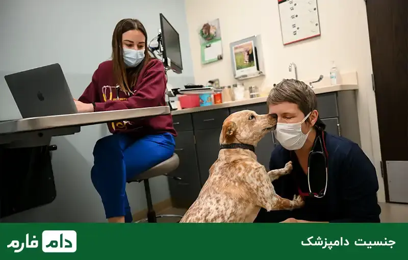 How-is-veterinary-income-determined