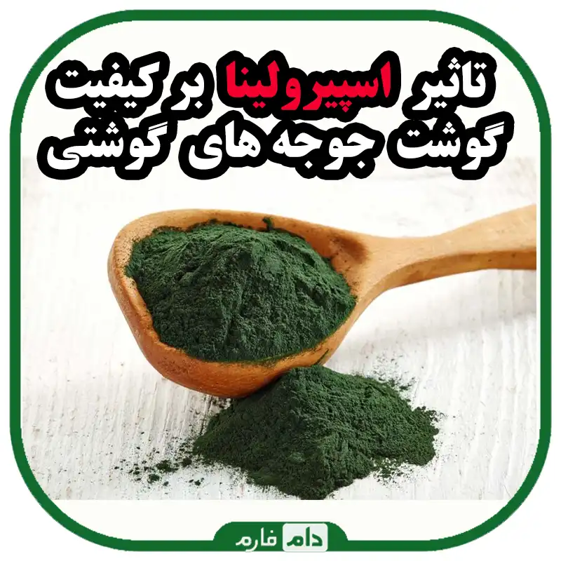 تاثیر_مکمل_اسپیرولینا_بر_کیفیت_گوشت_جوجه_های_گوشتی