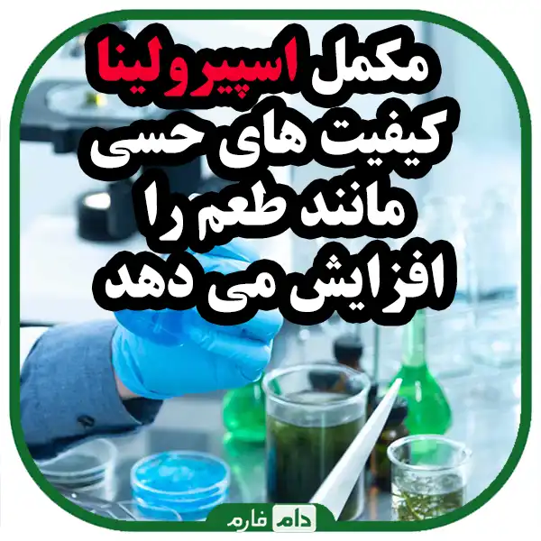 The-effect-of-spirulina-supplementation-on-meat-quality-of-broiler-chickens