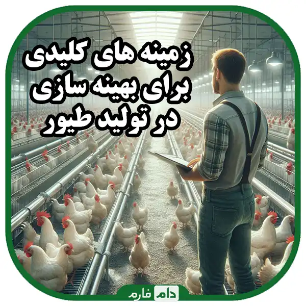 Poultry-production-optimization-processes:-a-guide-to-efficiency-and-sustainability