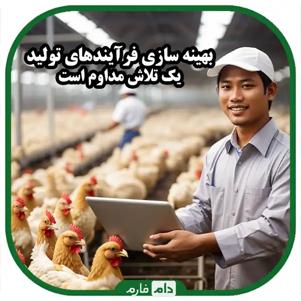 Poultry-production-optimization-processes:-a-guide-to-efficiency-and-sustainability