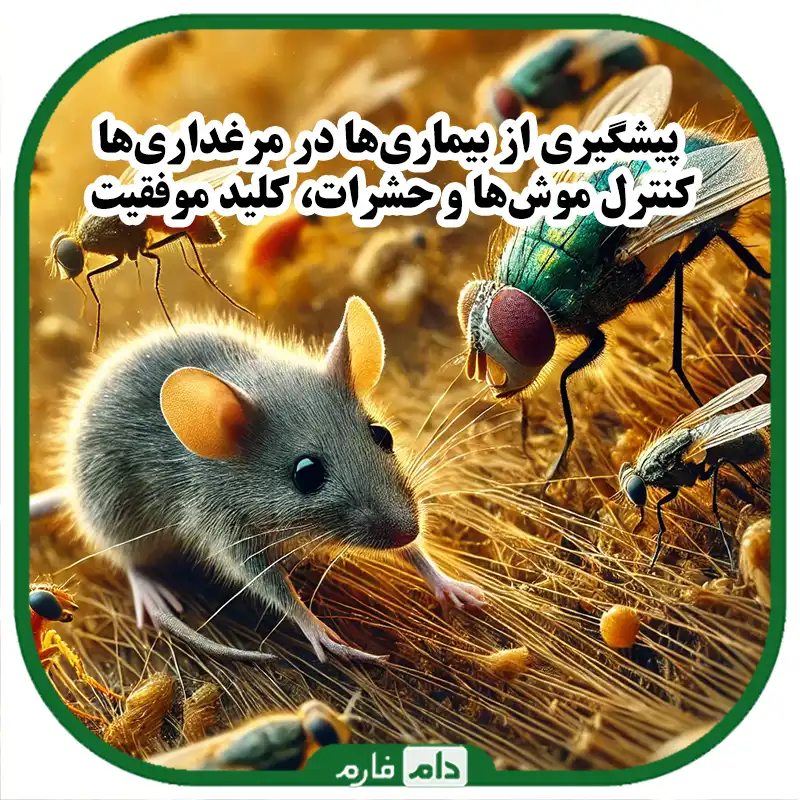 کنترل_جمعیت_موش_و_حشرات_در_مرغداری‌ها_به‌منظور_کاهش_خطر_انتقال_بیماری‌ها
