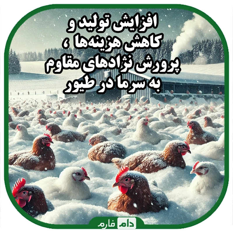 نقش_ژنتیک_در_پرورش_نژادهای_مقاوم_به_سرما_:_مزایا_و_چالش‌ها