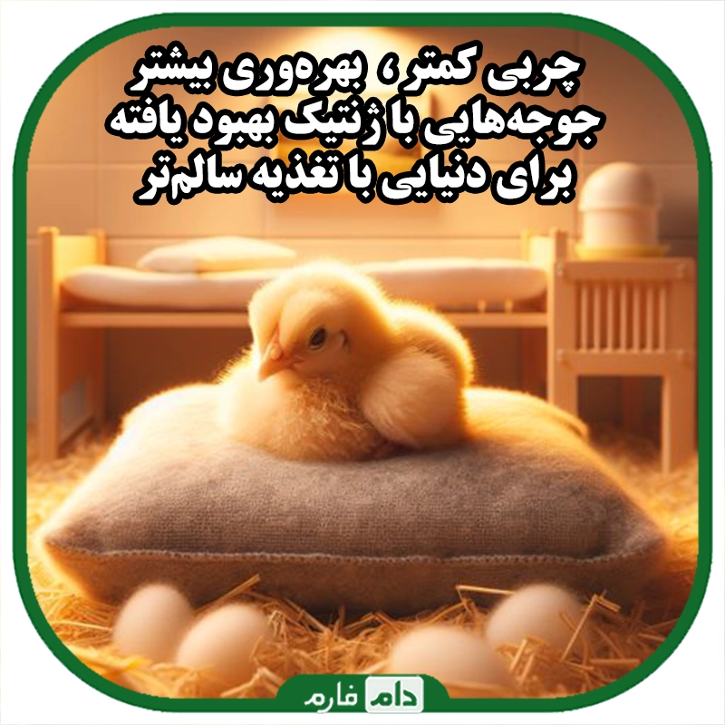 نقش_ژنتیک_در_کاهش_چربی_بدن_جوجه‌ها_:_راهی_به_سوی_پرورش_سالم‌تر_و_بهره‌وری_بالاتر