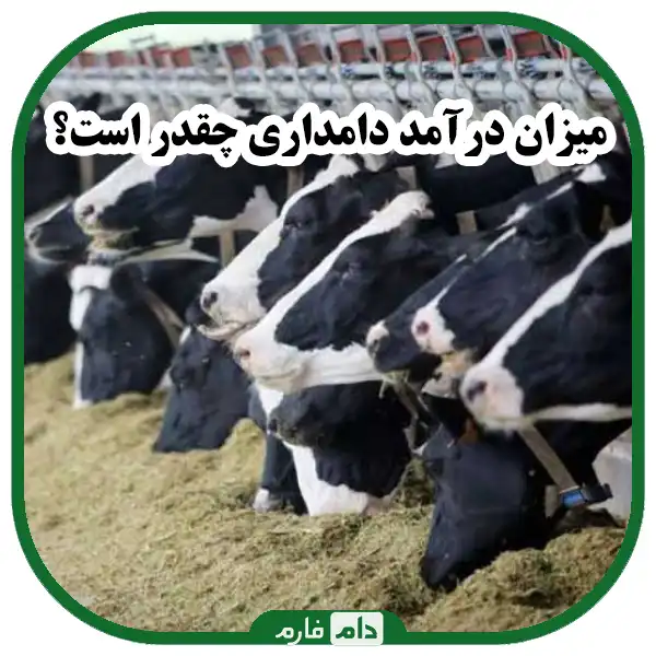 درآمد_دامداری_را_چگونه_می‌توان_افزایش_داد؟!