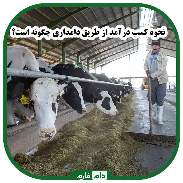 How-to-increase-livestock-income