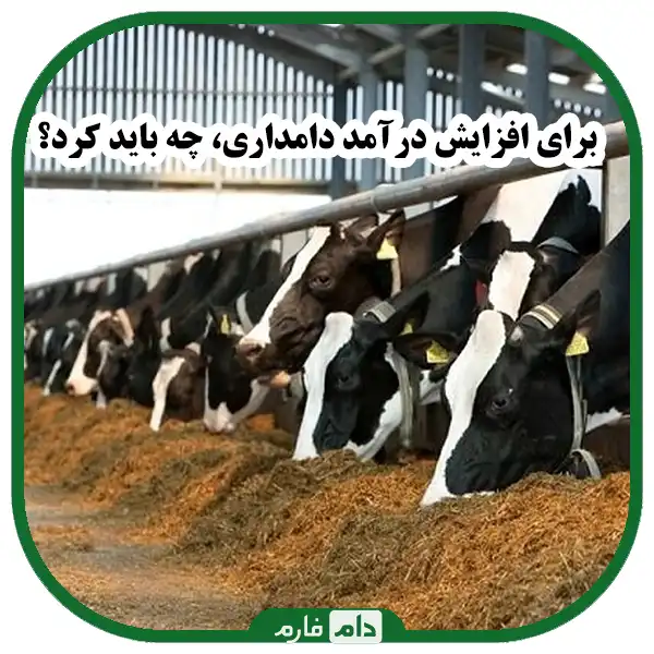 How-to-increase-livestock-income