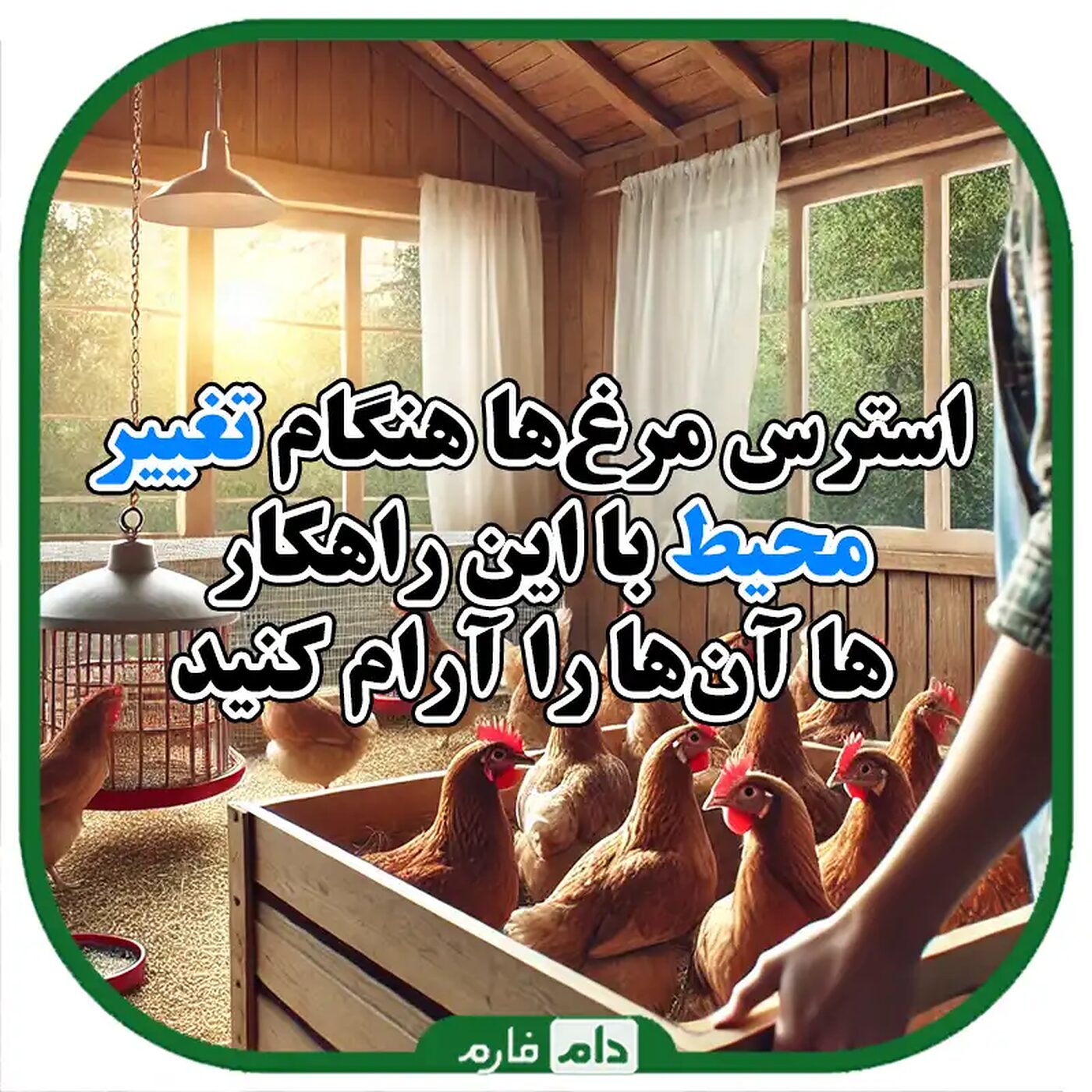 استرس_جوجه_ها_هنگام_تغییر_محیط_و_روش_های_پیشگیری_از_آن