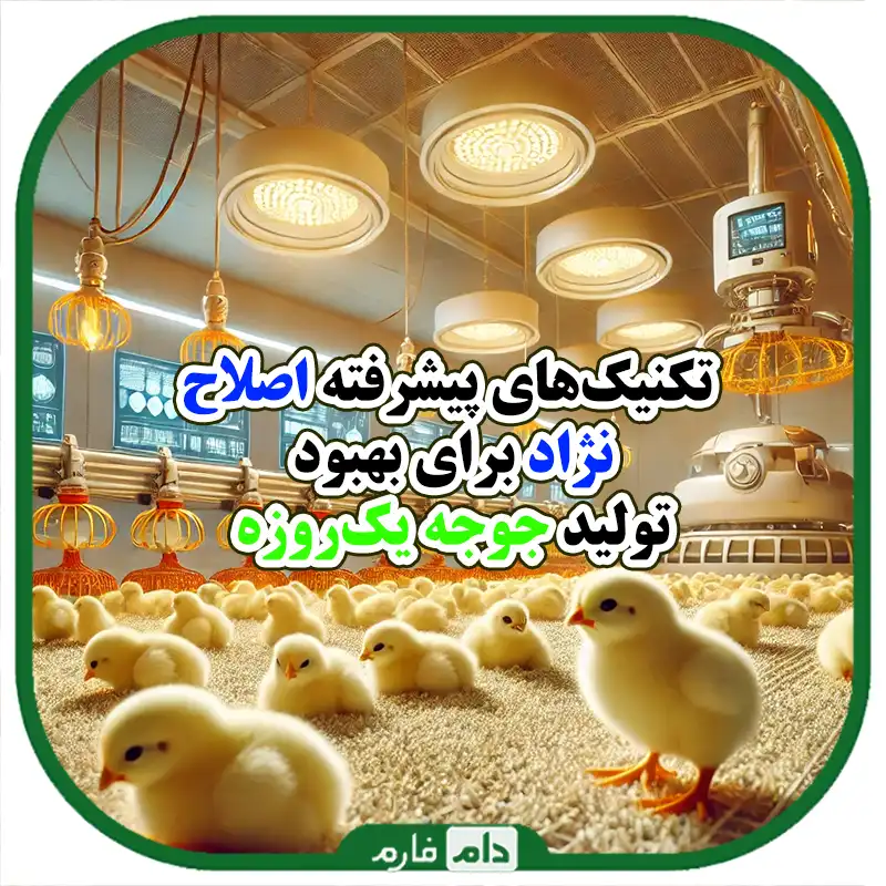 تکنیک‌های_پیشرفته_اصلاح_نژاد_برای_بهبود_تولید_جوجه_یک‌روزه
