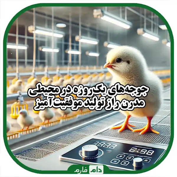 Advanced-breeding-techniques-to-improve-day-old-chick-production