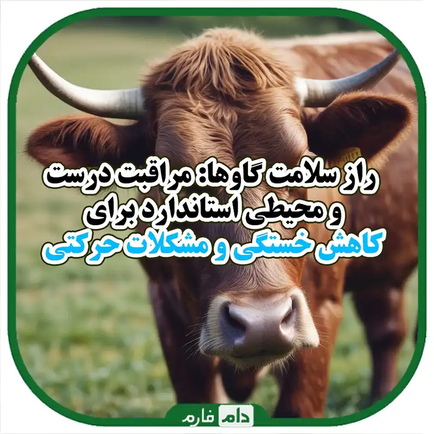 جلوگیری_از_انجام_و_مشکلات_حرکتی_در_گاوها:_راهکارهای_کلیدی_برای_سلامت_و_بهره‌وری