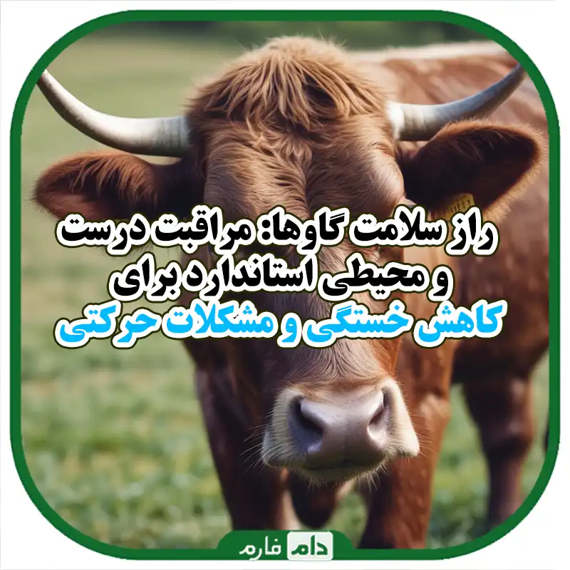 جلوگیری_از_انجام_و_مشکلات_حرکتی_در_گاوها:_راهکارهای_کلیدی_برای_سلامت_و_بهره‌وری