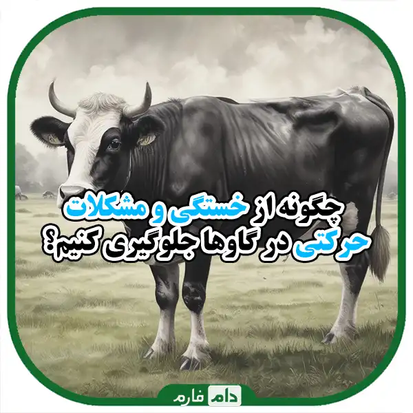 Prevention-of-movement-problems-in-cattle:-key-strategies-for-health-and-productivity