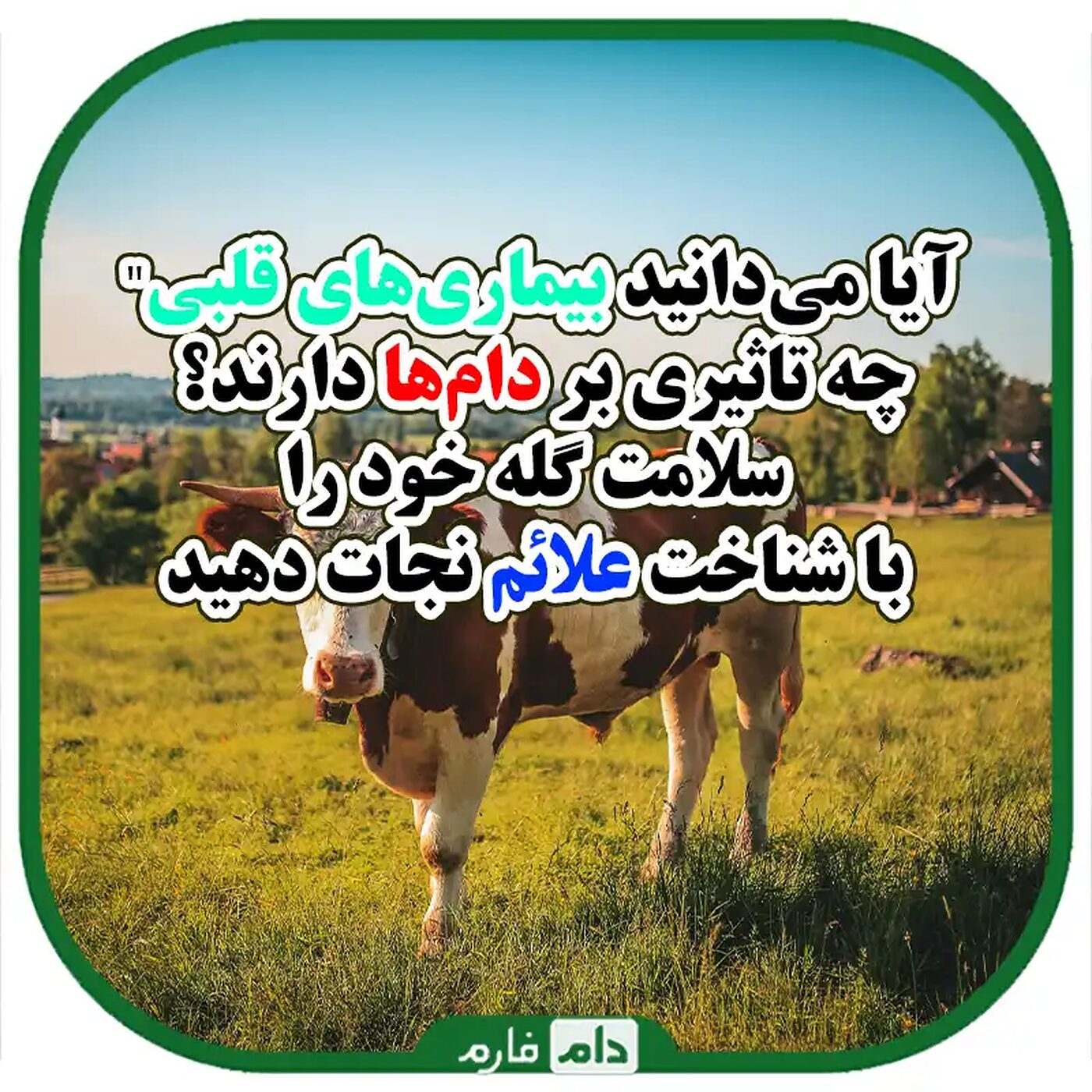 شناخت_کامل_علائم_بیماری‌های_قلبی_در_دام‌ها_و_راه‌های_پیشگیری_و_درمان
