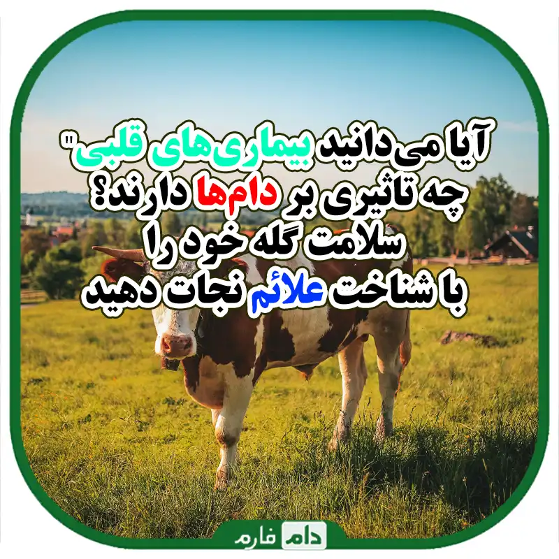 شناخت_کامل_علائم_بیماری‌های_قلبی_در_دام‌ها_و_راه‌های_پیشگیری_و_درمان