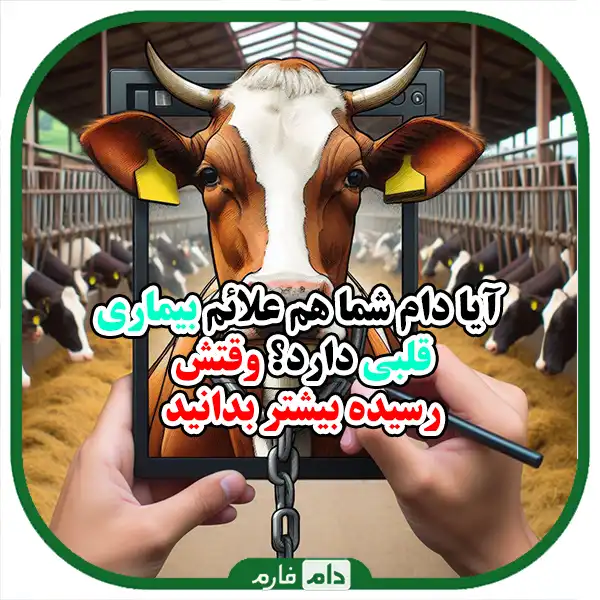 Complete-understanding-of-the-symptoms-of-heart-diseases-in-livestock-and-airways-and-treatment