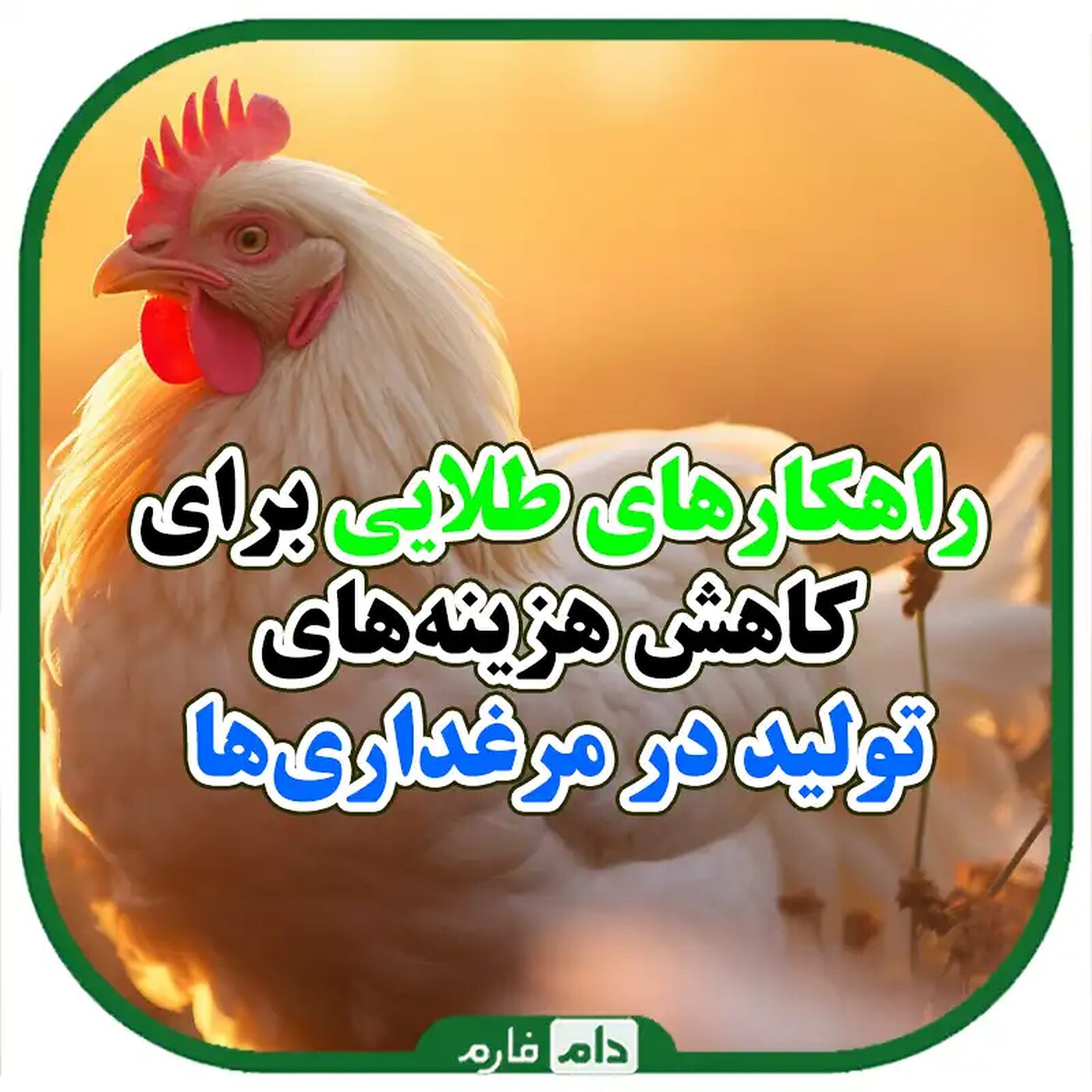 عوامل_مؤثر_بر_هزینه‌های_تولید_در_مرغداری‌ها