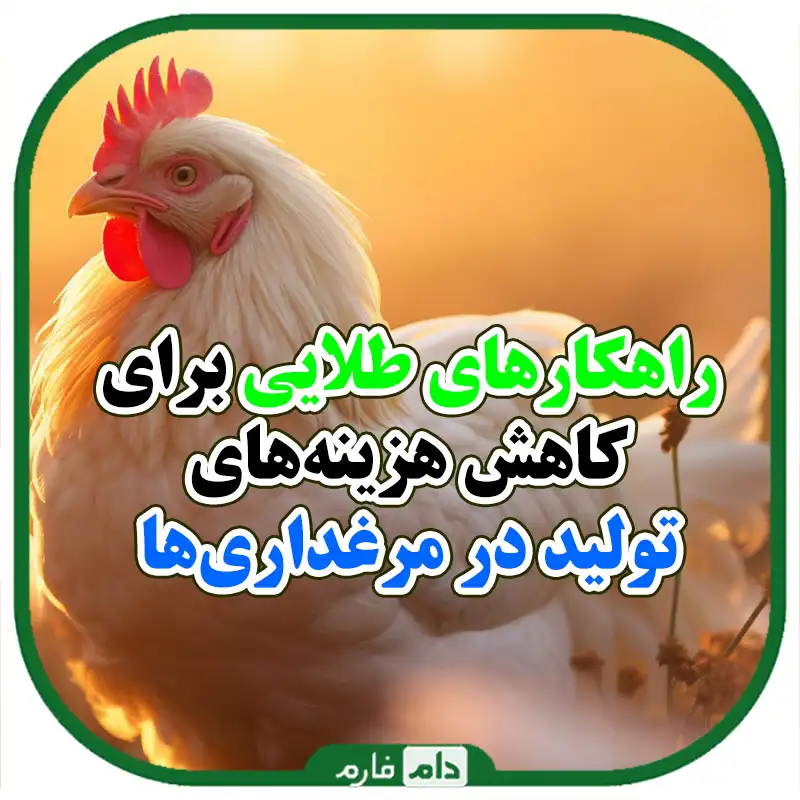 عوامل_مؤثر_بر_هزینه‌های_تولید_در_مرغداری‌ها