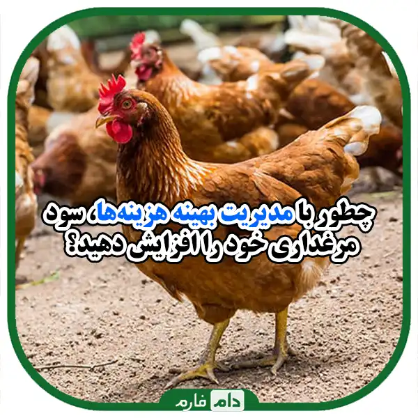 Unit-factors-on-production-costs-in-poultry-farms