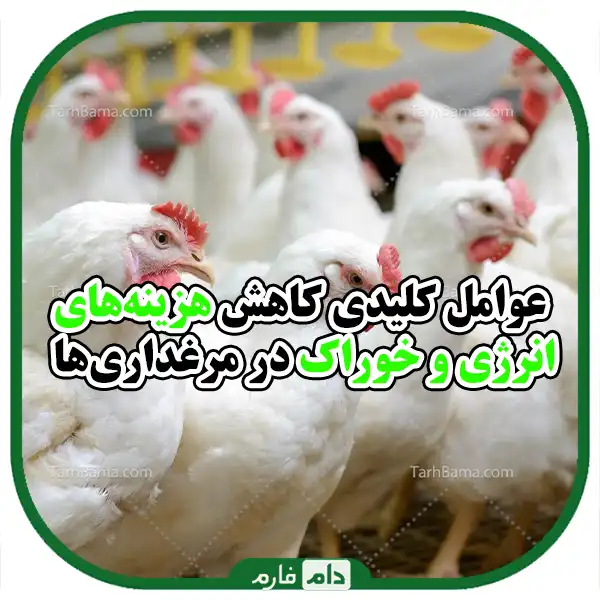 Unit-factors-on-production-costs-in-poultry-farms