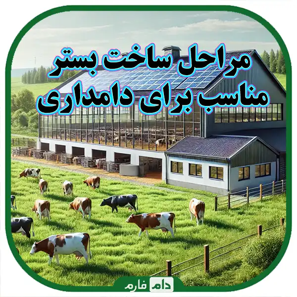 The-stages-of-construction-and-management-of-a-suitable-platform-for-animal-husbandry